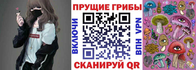 где купить наркоту  Димитровград  Псилоцибиновые грибы Cubensis 